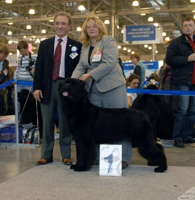 Фотография № 51847