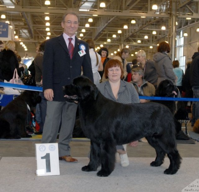 Фотография № 51848