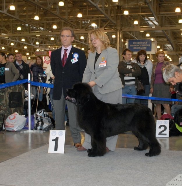 Фотография № 51849