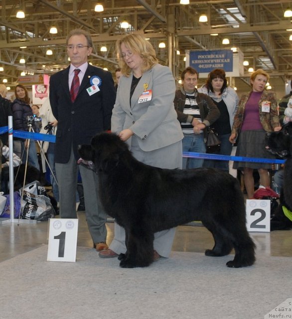 Фотография № 51850