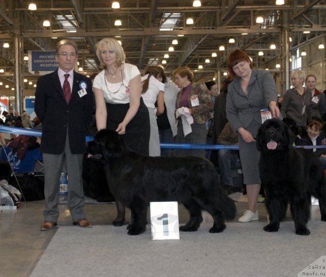 Фотография № 51853