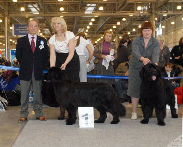 Фотография № 51863