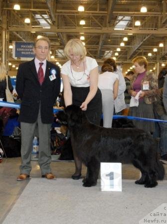 Фотография № 51864