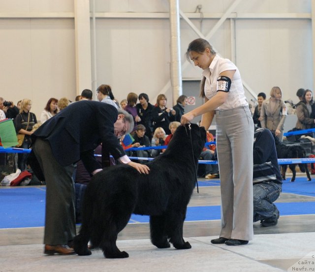 Фотография № 51866