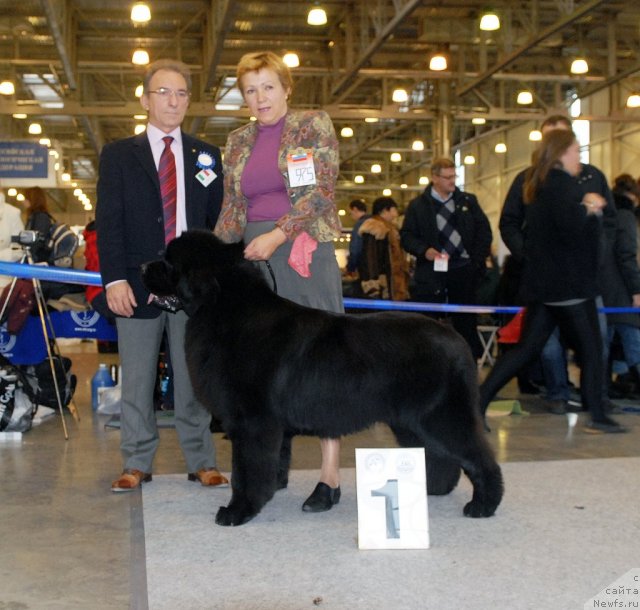 Фотография № 51869