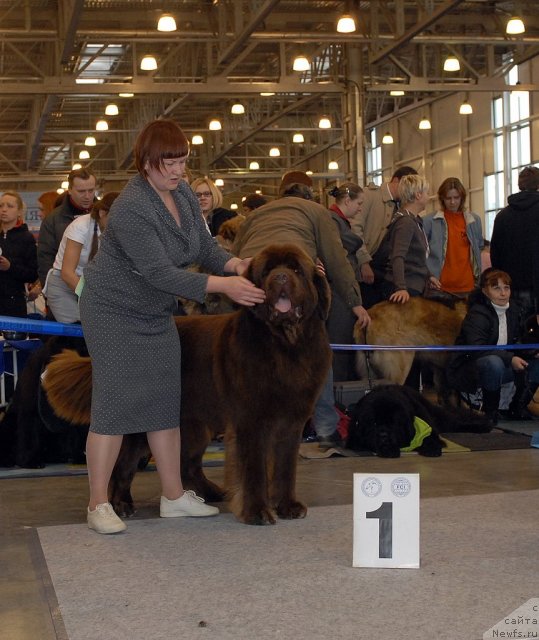 Фотография № 51872