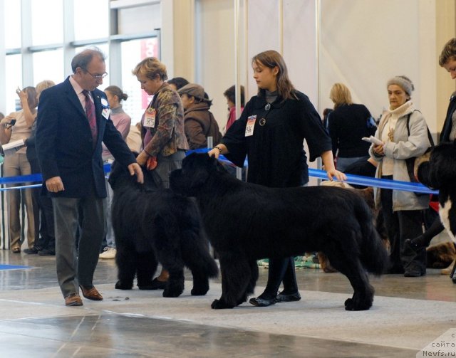 Фотография № 51874