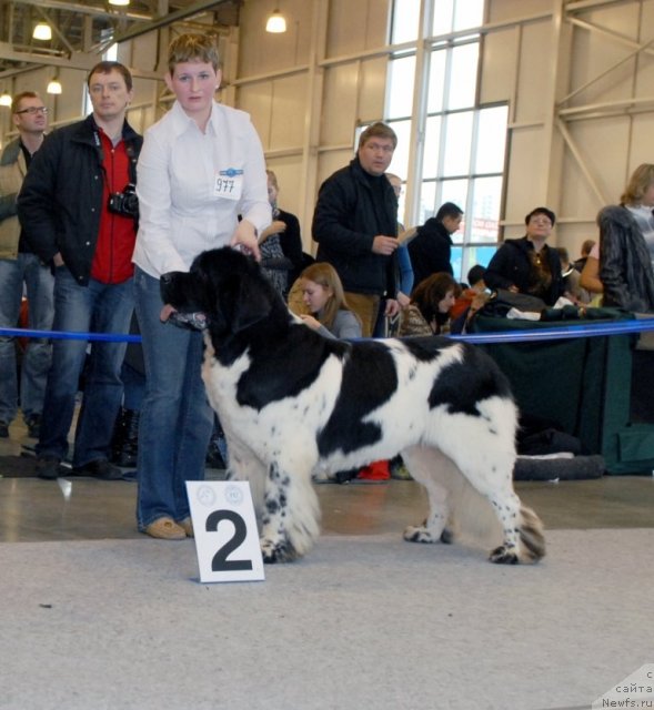 Фотография № 51875