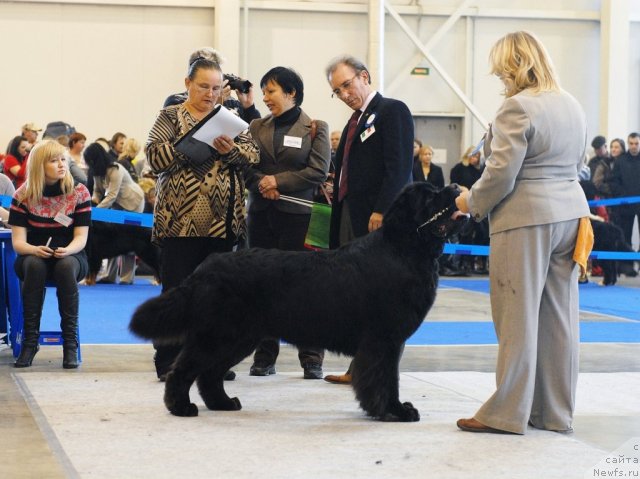 Фотография № 51876