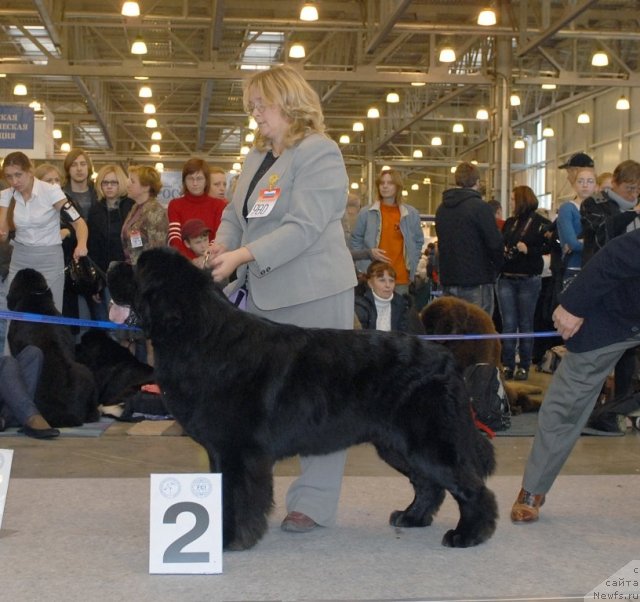 Фотография № 51877