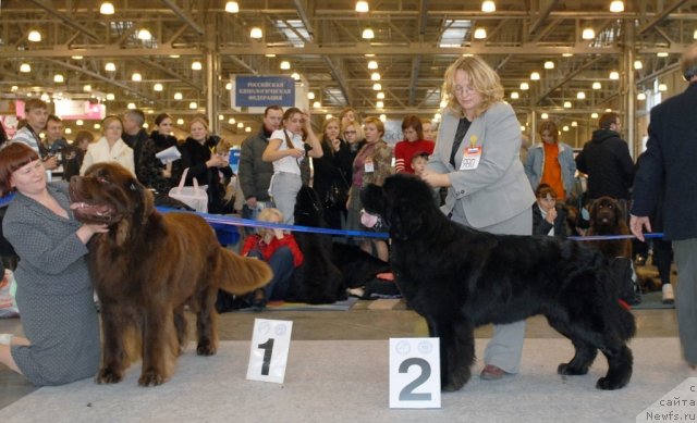 Фотография № 51878