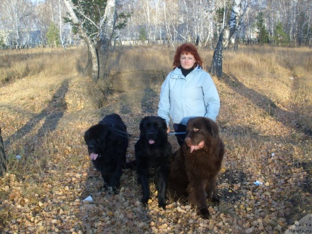 Фото: Tat'yana SHayduk (Татьяна Шайдук), ньюфаундленд CHernyiy SHarm Amber Best Dog FO Marleon (Черный Шарм Амбер Бест Дог ФО Марлеон), ньюфаундленд Jozefina Ledi Prekrasnaya (Жозефина Леди Прекрасная), ньюфаундленд Carevich Imperii N'yuf ot Marleon Dusvik (Царевич Империи Ньюф от Марлеон Дусвик)