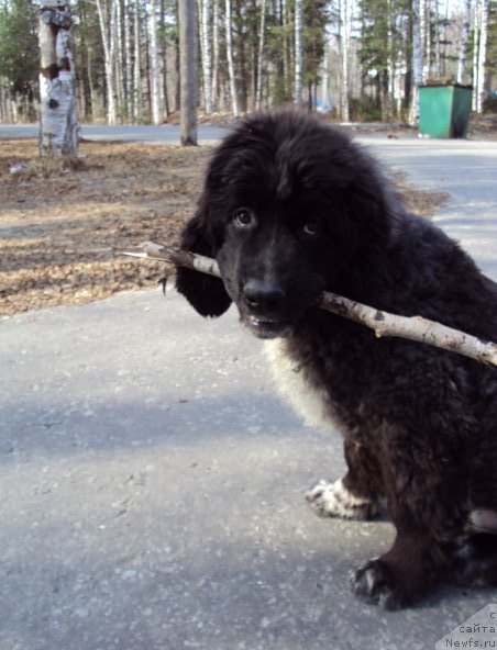 Фото: Vladimir Rubis (Владимир Рубис)