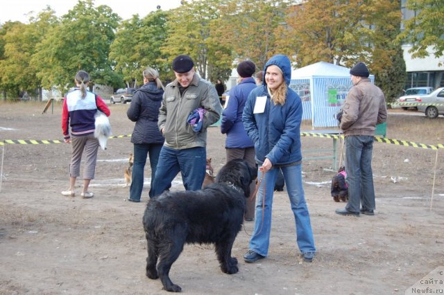 Фото: Diana Larina (Диана Ларина), ньюфаундленд Lesnaya Skazka Raskrasavica (Лесная Сказка Раскрасавица)