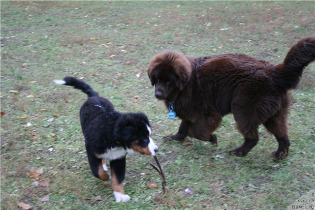 Фотография № 52018