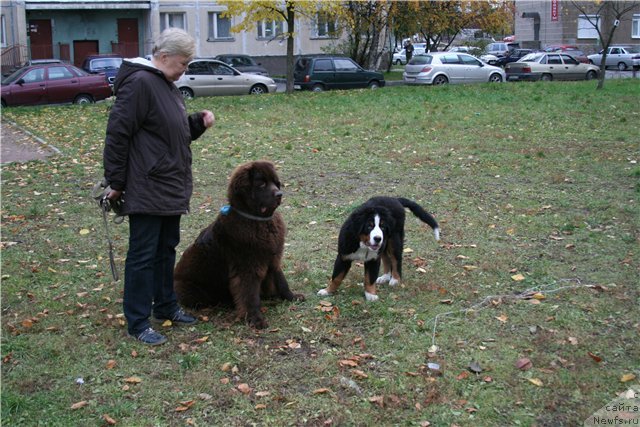 Фотография № 52019