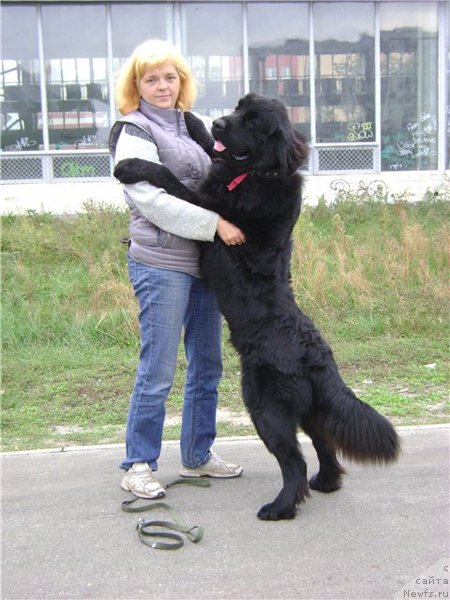 Фото: Elena Muha (Елена Муха)