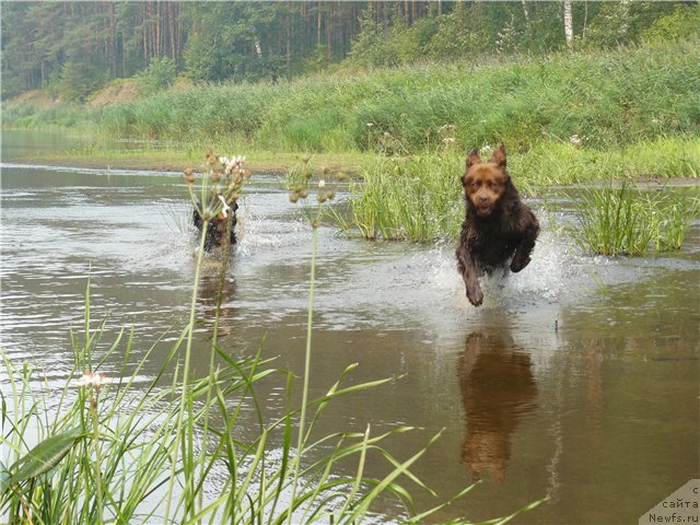 Фото: Берн Ежи, ньфка Нюша