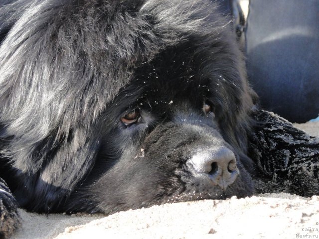 Фотография № 52153