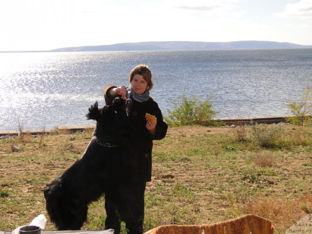 Фото: ньюфаундленд Super Premium Vashington (Супер Премиум Вашингтон), Elena Tischenko (Елена Тищенко)