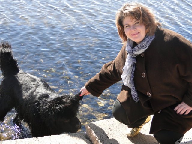 Фото: ньюфаундленд Super Premium Vashington (Супер Премиум Вашингтон), Elena Tischenko (Елена Тищенко)