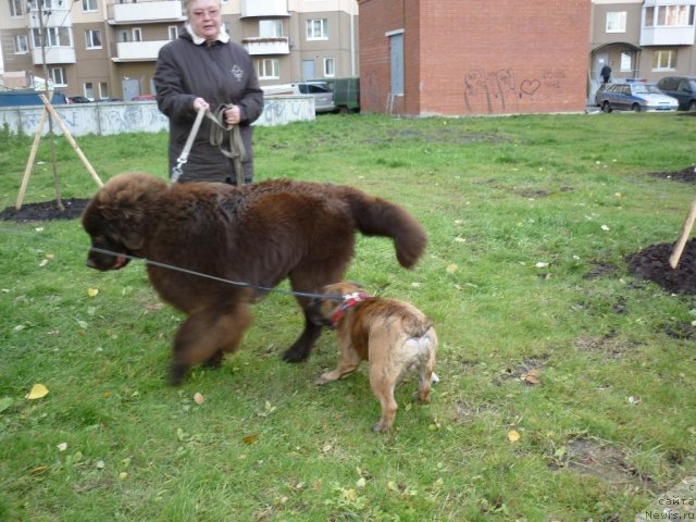 Фотография № 52168