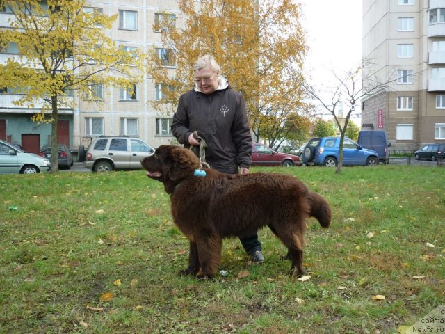 Фотография № 52172