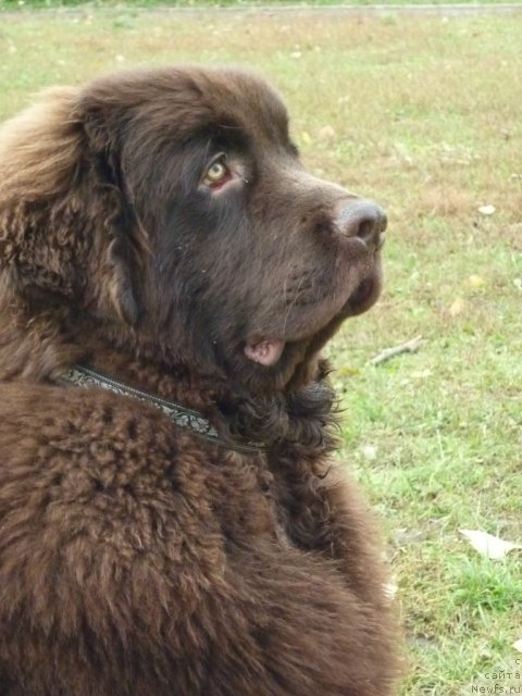 Фотография № 52176