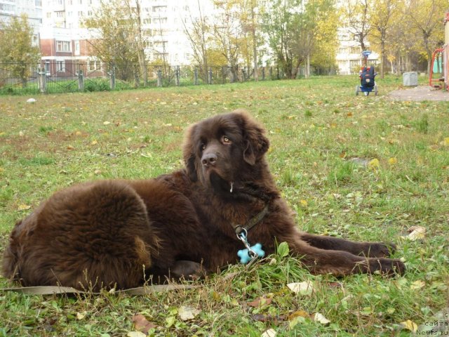 Фотография № 52178