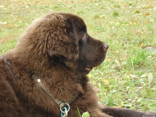 Фотография № 52179