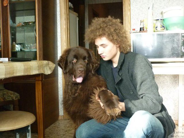 Фотография № 52182