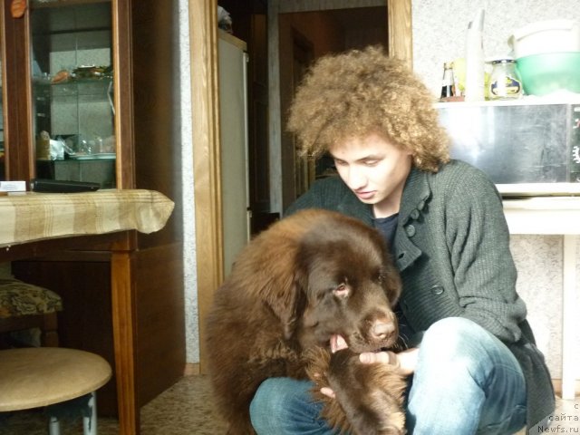 Фотография № 52183