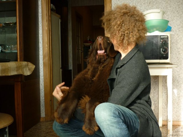 Фотография № 52186