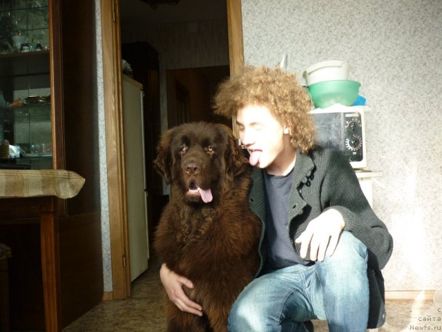 Фотография № 52188