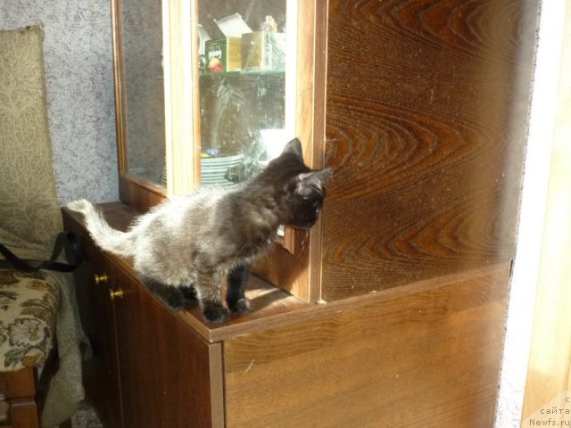 Фотография № 52190