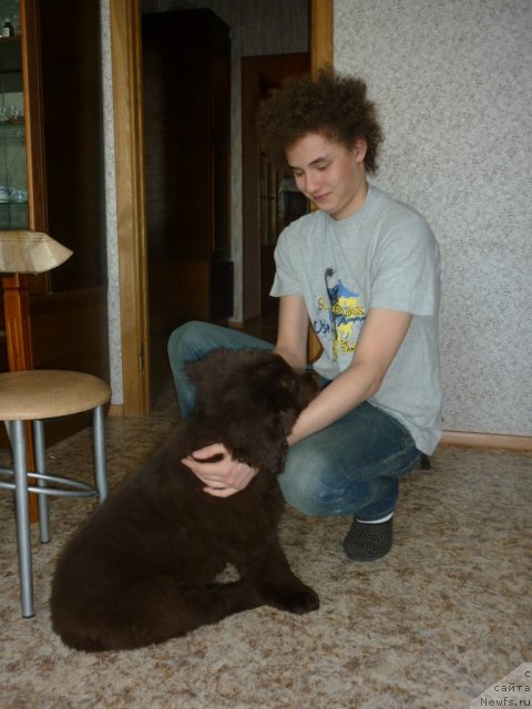 Фотография № 52195