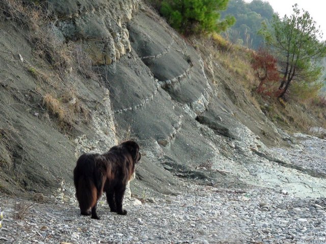 Фотография № 52202