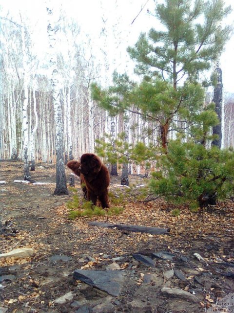 Фотография № 52220