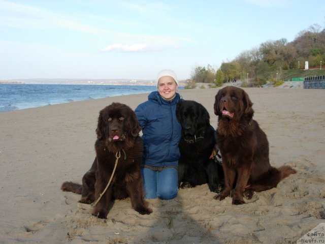 Фото: Diana Larina (Диана Ларина), ньюфаундленд Konfuciy (Конфуций), ньюфаундленд Lesnaya Skazka Raskrasavica (Лесная Сказка Раскрасавица), ньюфаундленд Zvezdnaya Toskana Lesnaya Raskrasavica (Звездная Тоскана Лесная Раскрасавица)