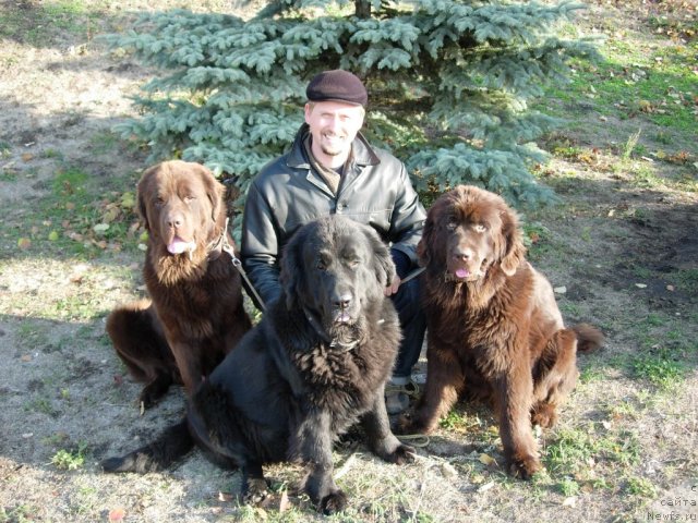 Фото: ньюфаундленд Konfuciy (Конфуций), ньюфаундленд Lesnaya Skazka Raskrasavica (Лесная Сказка Раскрасавица), ньюфаундленд Zvezdnaya Toskana Lesnaya Raskrasavica (Звездная Тоскана Лесная Раскрасавица), Andrey Larin (Андрей Ларин)