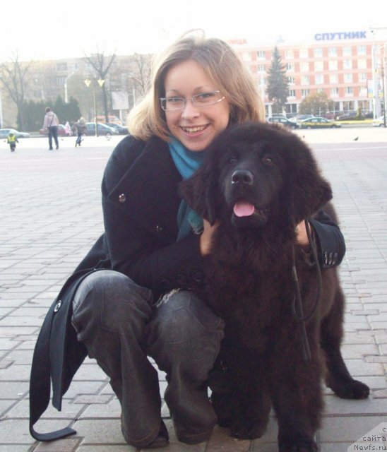 Фото: ньюфаундленд CHudnaya Krasavica (Чудная Красавица), Маришка