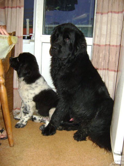 Фото: Elena Muha (Елена Муха)