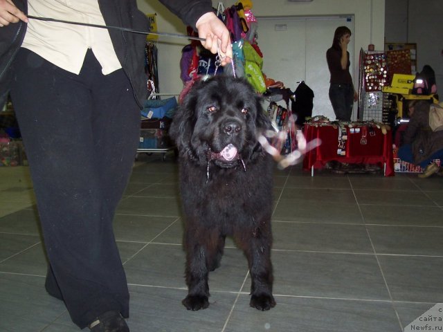 Фотография № 52355