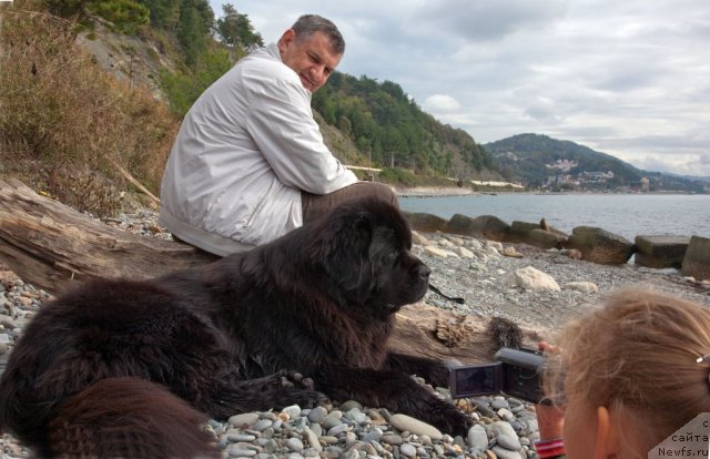 Фотография № 52372