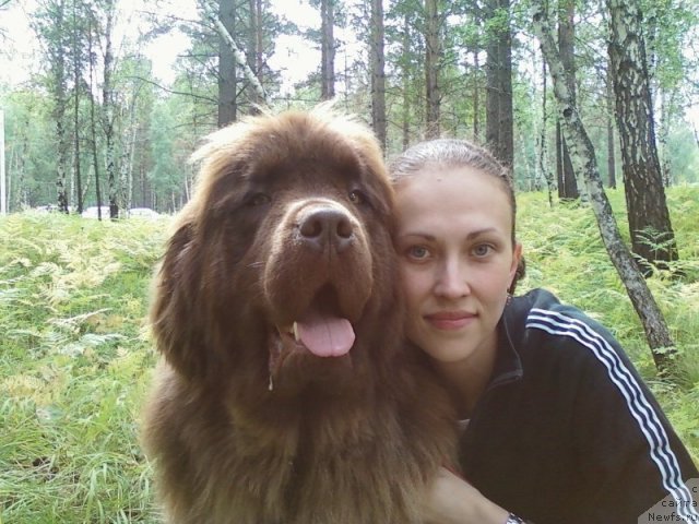 Фото: ньюфаундленд Mega Star iz Arkaima (Мега Стар из Аркаима), Anna Mel'zeninova (Анна Мельзенинова)
