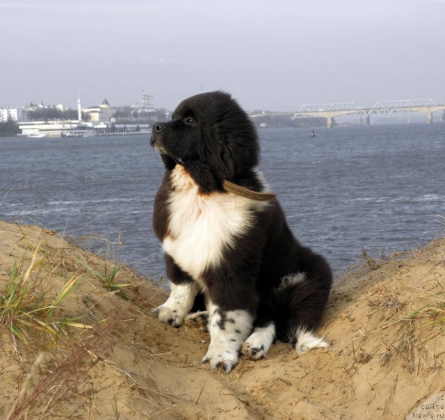 Фотография № 52392