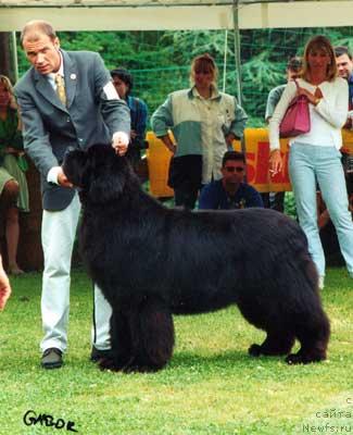 Фотография № 524