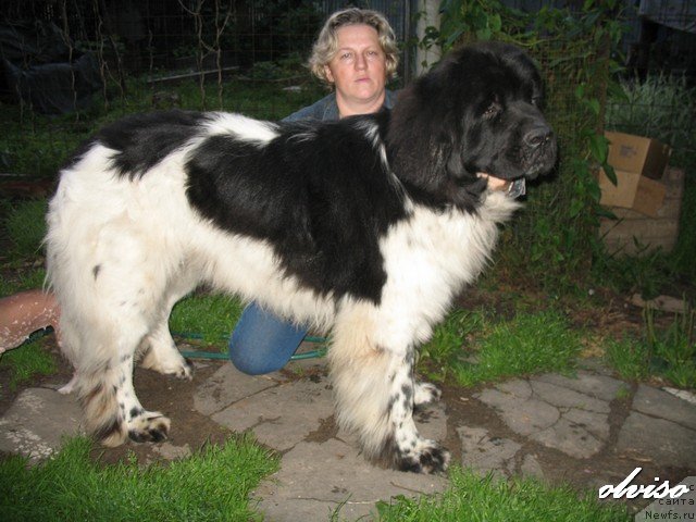 Фотография № 52414