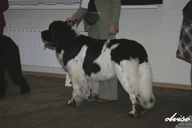 Фотография № 52416