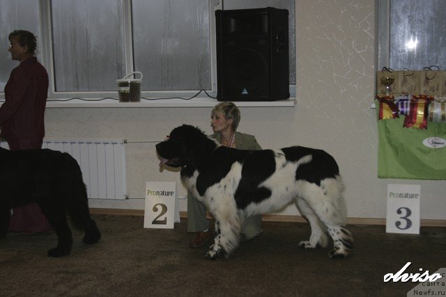 Фотография № 52418